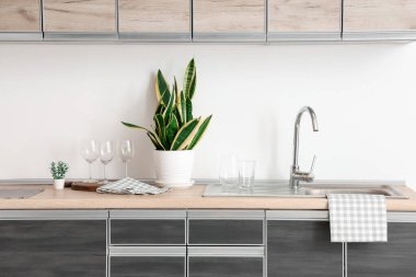 Lavabo ve bitkiler mutfaktaki masada.