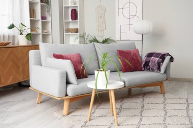 Şık ışık odasının içinde rahat bir kanepe ve bitkiler.