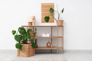 Beyaz duvarın yanında çekmeceleri ve Monstera bitkileri olan modern bir oda.