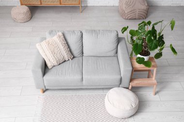 Odanın içinde kanepe, puf, merdiven ve Monstera bitkisi var.