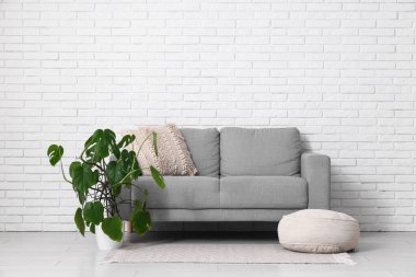 Pouf, kanepe ve Monstera bitkisi odanın içindeki beyaz tuğla duvarın yanında.