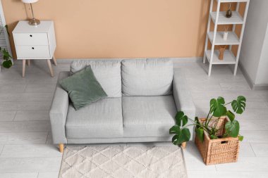 İçinde kanepe, raf ünitesi ve Monstera bitkisi olan modern bir oda.