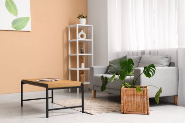 Oturma odasında kanepe, masa ve Monstera bitkisi var.