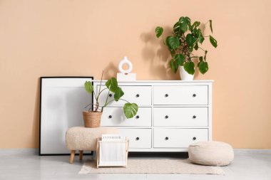 Çekmeceleri ve Monstera bitkileriyle dolu modern bir oda.