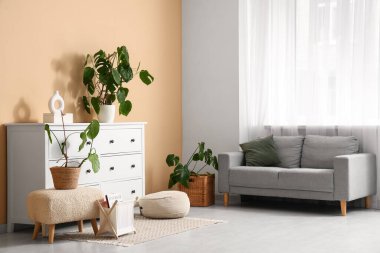 Çekmeceleri, kanepesi ve Monstera bitkileriyle dolu modern bir oda.