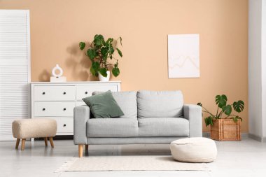 İçinde puf, kanepe ve Monstera bitkileri olan modern bir oda.