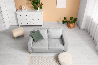 İçinde puf, kanepe ve Monstera bitkileri olan modern bir oda.