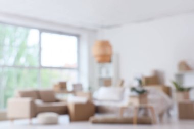 Taşındığı gün kanepeleri ve karton kutuları olan oturma odasının bulanık görüntüsü