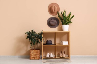 Bej duvarın yanında keçeli şapka, ayakkabı ve bitkilerle raflarda.