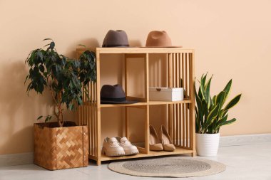 Bej duvarın yanında keçeli şapka, ayakkabı ve bitkilerle raflarda.