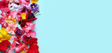 Mavi arkaplanda renkli çiçekler ve metin için boşluk