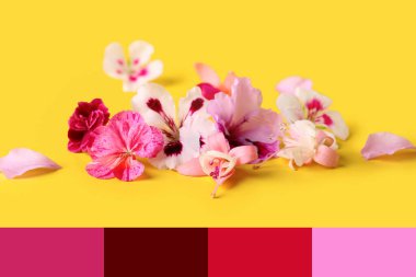 Sarı arka planda farklı güzel yenilebilir çiçekler.