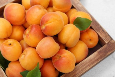 Taze kayısıları ve beyaz arka planda yaprakları olan ahşap kutu.