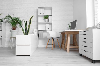 Ofis içinde masa, raf ünitesi ve bitkiler