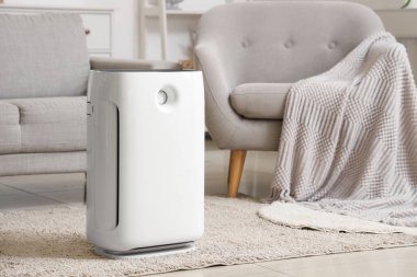 Oturma odasındaki halının üzerinde hava temizleyici var.