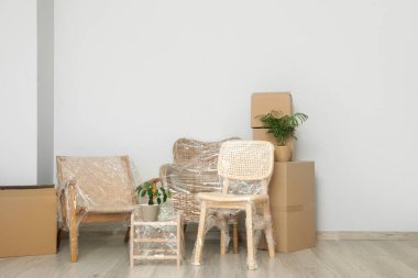 Taşınma gününde sarılı sandalyeler, salonda bitkiler ve kutular