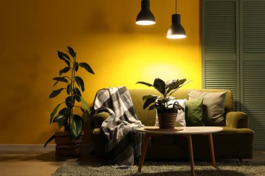 İçinde yeşil kanepe, bitkiler ve parlayan lambalar olan karanlık oturma odasının içi.