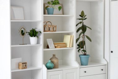 Kitaplar, çerçeveler ve bitkilerle dolu bir dolap.