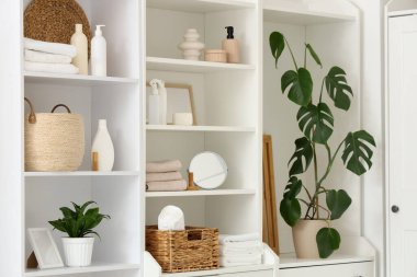 Banyo malzemeleri ve bitkilerle dolu bir dolap.