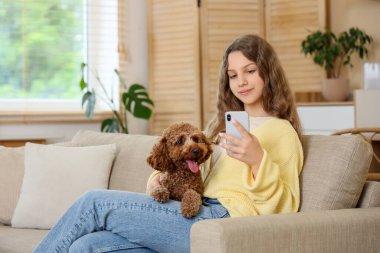 Evdeki kanepede cep telefonu kullanan kaniş köpeği olan genç bir kız.