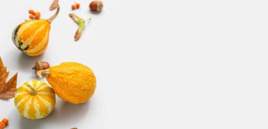 Balkabakları, meşe palamutları ve sonbahar yaprakları beyaz zemin üzerinde metin için boşluk ile