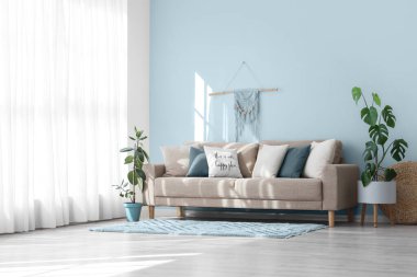 Aydınlık oturma odasının içinde gri kanepe ve bitkiler var.