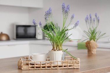 Muscari çiçekli tepsi ve mutfaktaki masada bir fincan kahve.