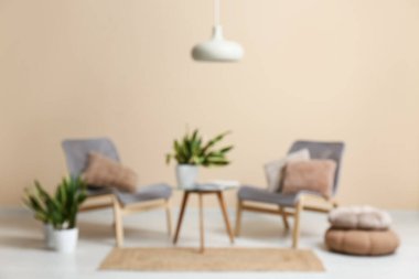 Sandalye, masa, puf ve sansevierya bitkilerinin olduğu bulanık oda manzarası