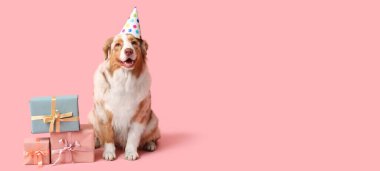 Parti şapkalı şirin köpek ve hediye kutularıyla pembe arka planda doğum gününü kutluyor.