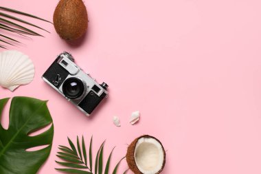 Pembe arka planda fotoğraf makinesi, hindistan cevizi ve tropikal yapraklı yaz kompozisyonu
