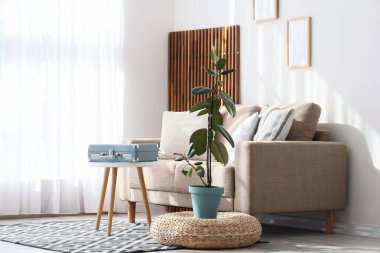 Gri kanepeli, masalı ve katlanmış ekranlı aydınlık oturma odasının içi.