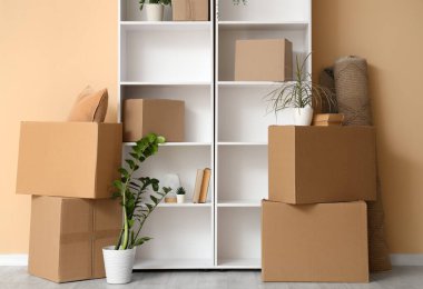 Odada bej duvarın yanındaki raflarda bitkiler ve kutular var.