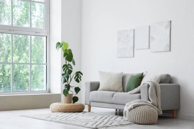 Aydınlık oturma odasının içinde şık resimler, kanepe ve palmiye ağaçları var.