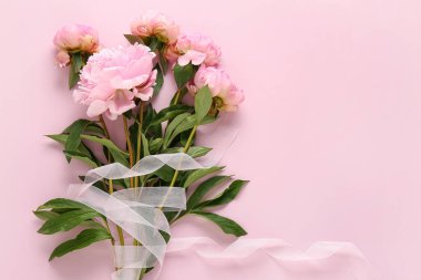 Pembe arka planda güzel şakayık çiçekleri.