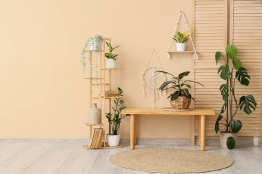 Ahşap bank, katlanan ekran ve koridorun iç tarafındaki bej duvarın yanındaki ev bitkileri.