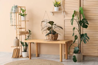 Ahşap bank, katlanan ekran ve salonun iç tarafındaki bej duvarın yanındaki ev bitkileri, yakın plan.