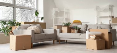 Gri kanepeli karton kutular, taşınma gününde oturma odasında raf üniteleri ve bitkiler.