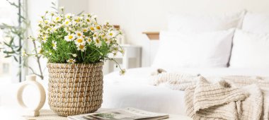 Yatak odasındaki masasında papatya ve dergi olan hasır tencere.