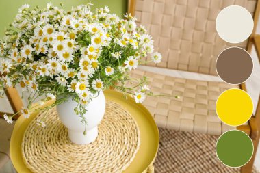 Oturma odasındaki masada papatya çayı olan vazo. Farklı renk desenleri
