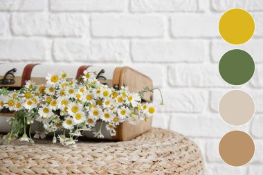 Beyaz tuğla duvarın yanındaki hasır pufta papatya dolu bavul. Farklı renk desenleri