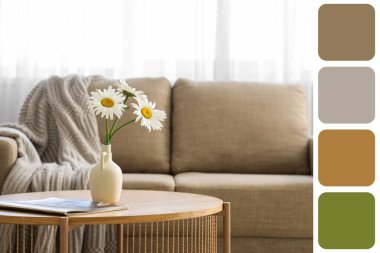 Papatya çayı ve dergi olan vazo oturma odasında. Farklı renk desenleri