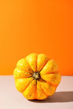 Renkli arkaplanda taze balkabağı