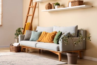 Rahat kanepesi, yastıkları, saksısı ve rafları olan modern oturma odası.