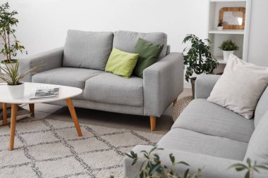 Modern oturma odasında gri kanepeler, ev bitkileri, yastıklar ve kahve masası.