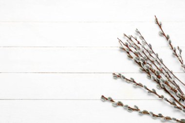Pussy willow branches on white wooden background. Easter celebration