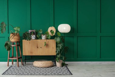 Monstera bitkileri, klozet ve lambayla oturma odasının içinde.