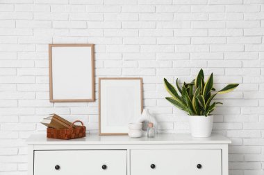 Sansevieria fabrikası, beyaz tuğla duvarın yanındaki çekmecelerde boş çerçeveler ve kitaplar.