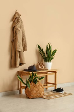 Koridorun içinde bank, palto ve Sansevieria bitkileri var.