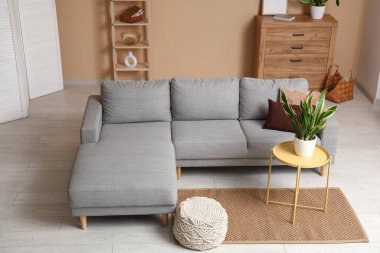 Oturma odası, kanepe, masa ve Sansevieria bitkisi.