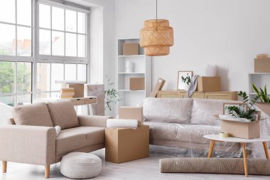 Taşındığı gün kanepeleri ve karton kutuları olan oturma odasının içinde.